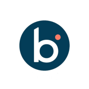 Boomi 1